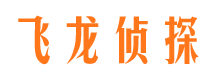 洪山市侦探调查公司